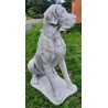 Dogge