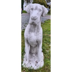 Deutsche Doge