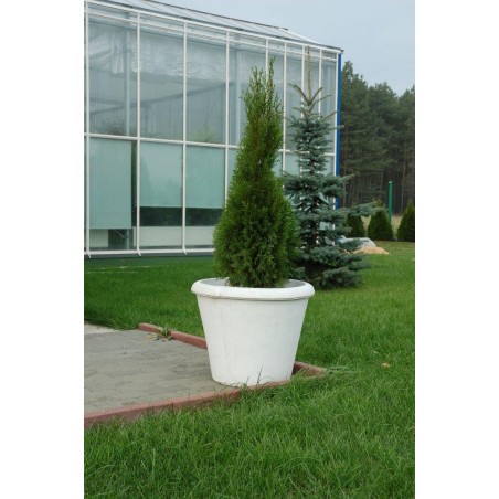 Blumentopf, Pflanzentopf